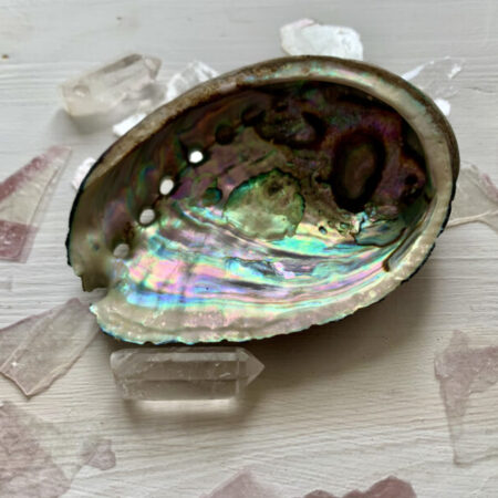 Prachtige Abalone schelpen van Holisticritualist.
