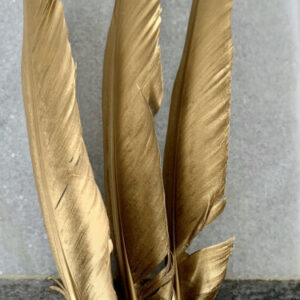 Feather Abundance – Ganzenveer