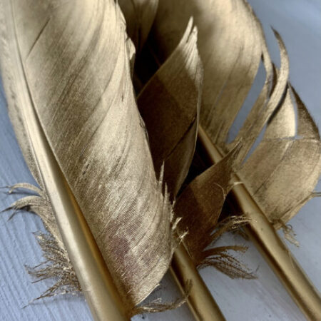 Feather Abundance – Ganzenveer